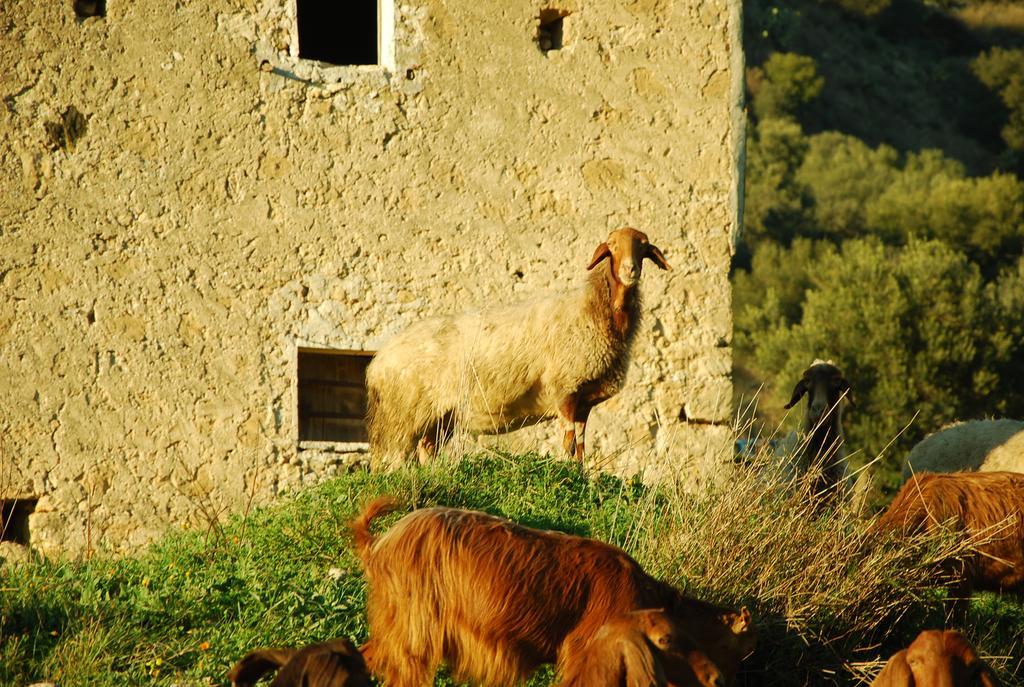 Hotel Experience Il Paesino Licodia Eubea Zewnętrze zdjęcie